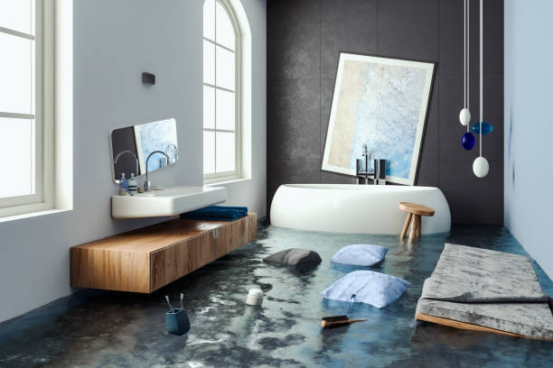 Best Flood restoration services  in Kearney, MO