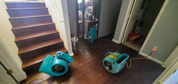 Best Commercial water damage restoration  in Kearney, MO