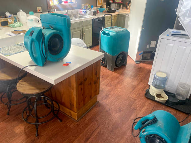 Best Ceiling water damage repair  in Kearney, MO