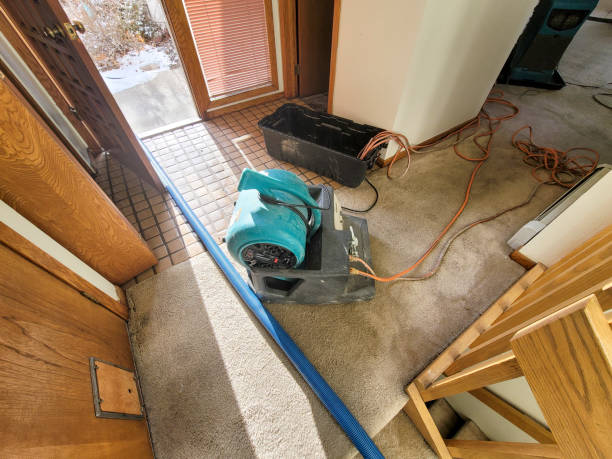 Best Flooded house restoration  in Kearney, MO