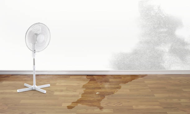 Best Water damage restoration near me  in Kearney, MO