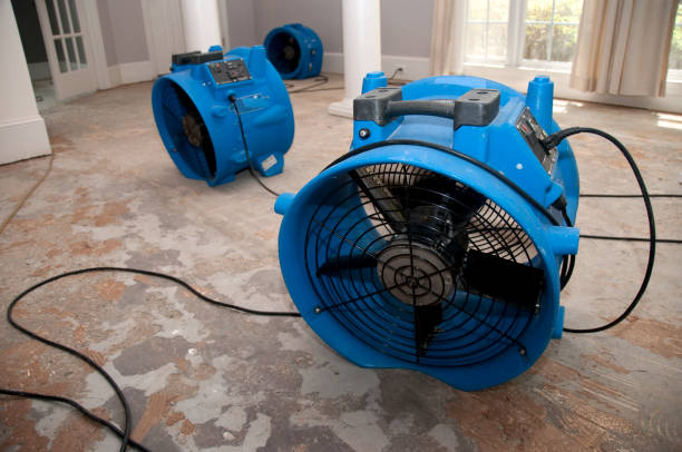 Best Emergency water damage restoration  in Kearney, MO