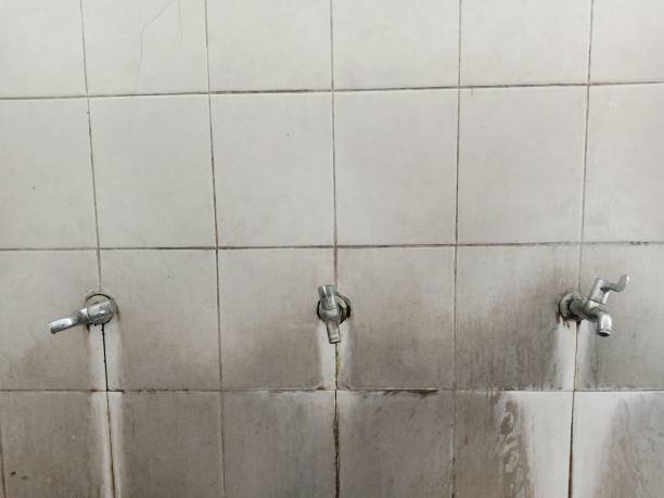 Best Flood restoration services  in Kearney, MO