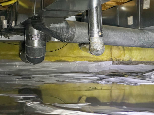 Best Water damage restoration mold remediation  in Kearney, MO