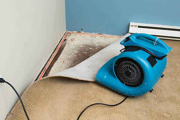Best Flooded house restoration  in Kearney, MO